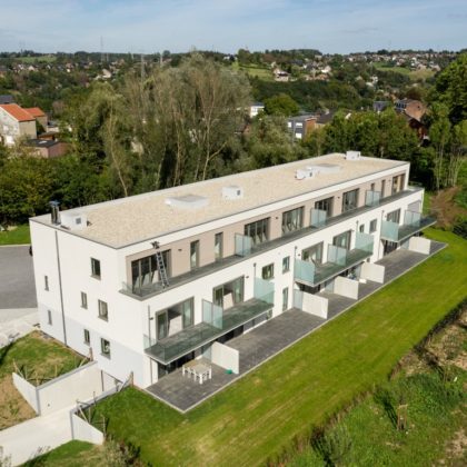 Industrial roof renovation Vert Buisson building