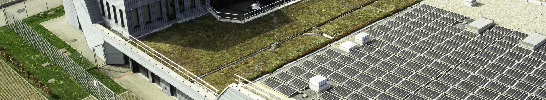 Solutions for green roofs 